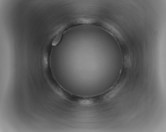 X0000111360358200907101235