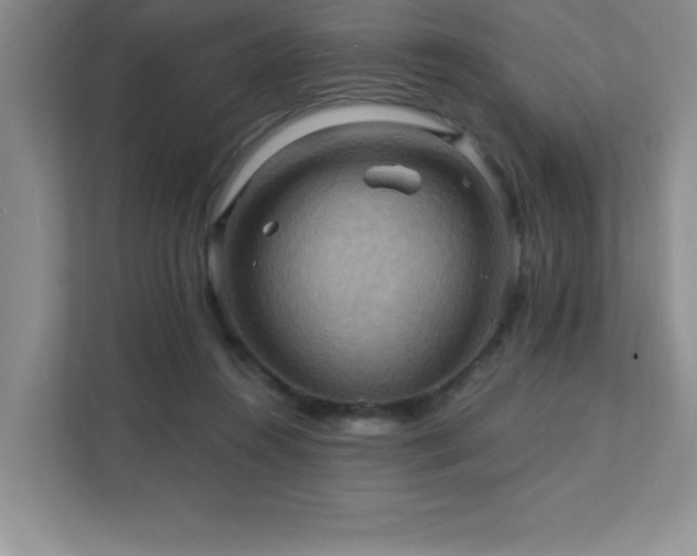 X0000111360360200907101235