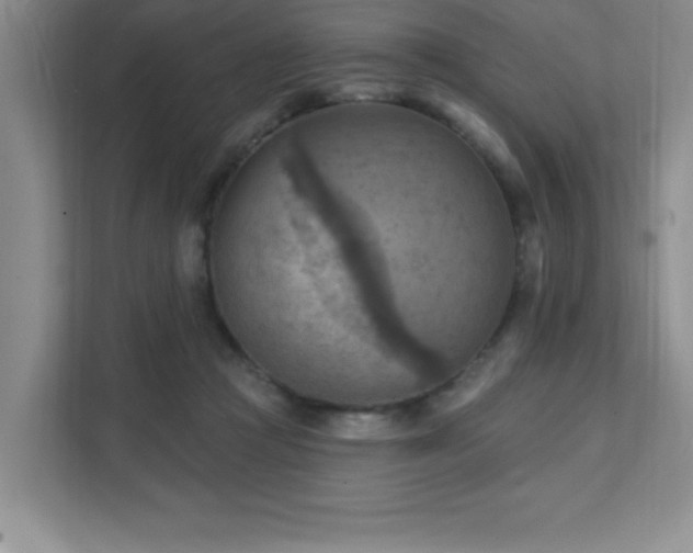 X0000111360361200907101235