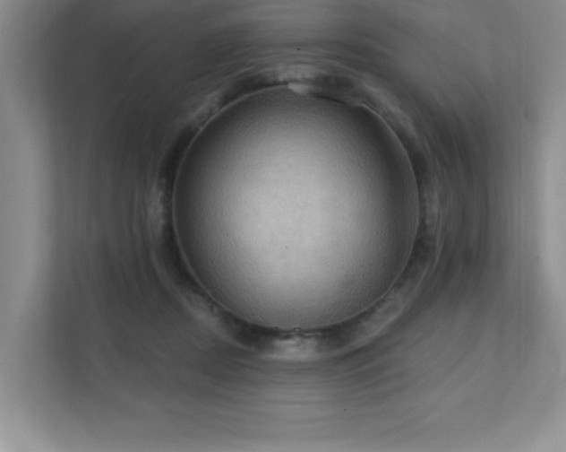 X0000111360362200907101235
