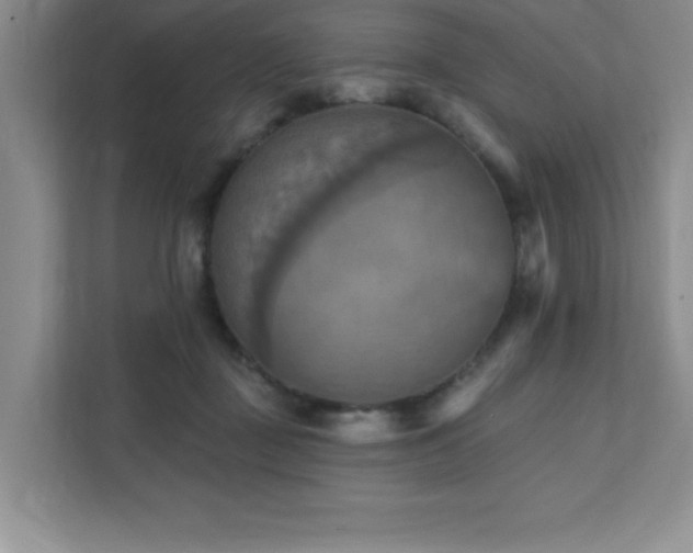 X0000111360363200907101235