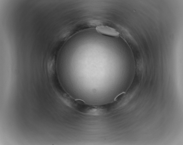X0000111360364200907101235