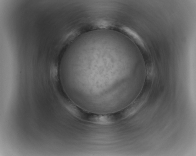 X0000111360365200907101235