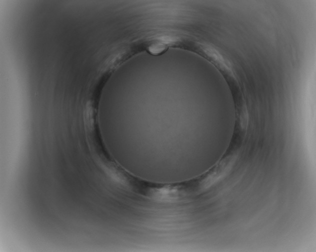 X0000111360366200907101235