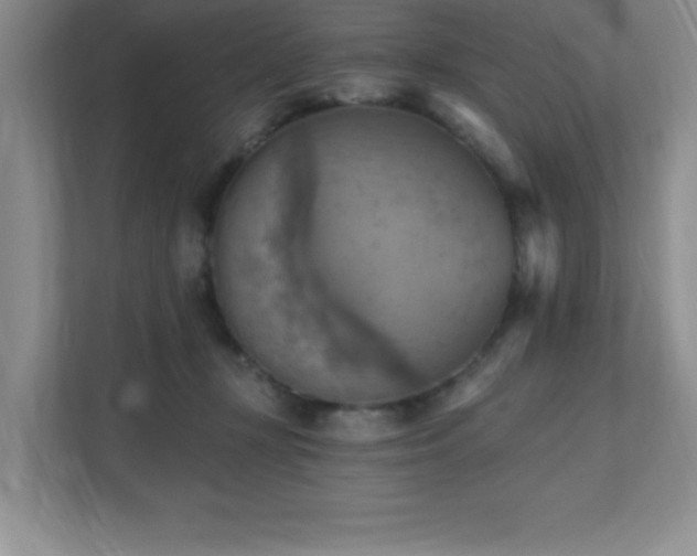 X0000111360367200907101235