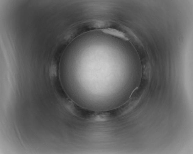 X0000111360368200907101235