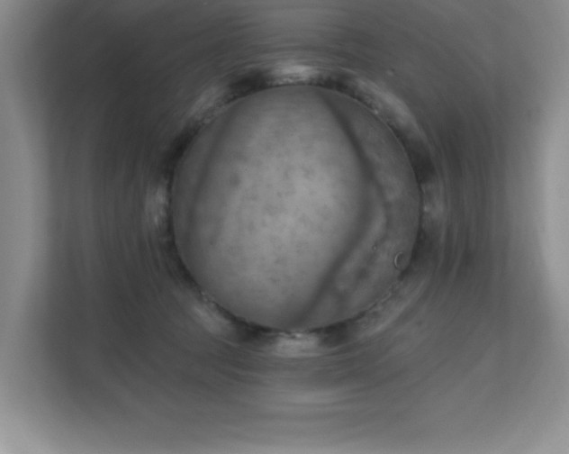 X0000111360369200907101235