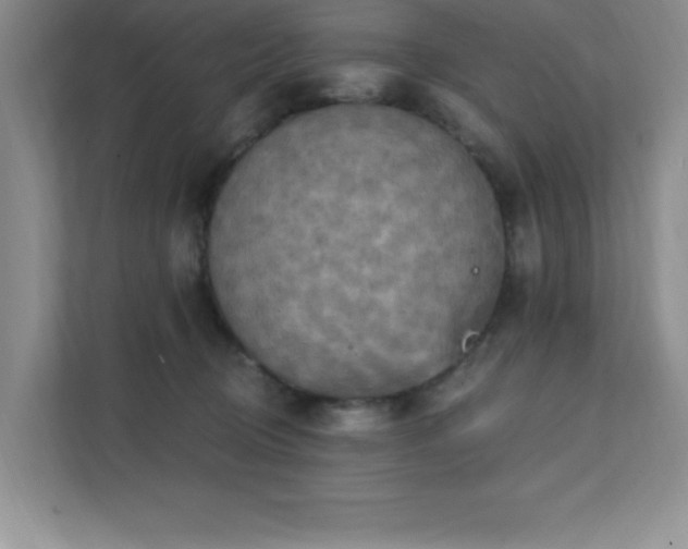 X0000111360370200907101235