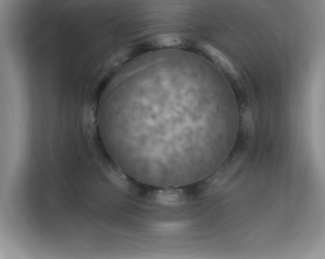 X0000111360373200907101235
