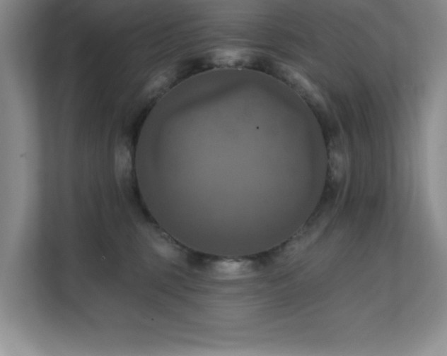 X0000111360375200907101235