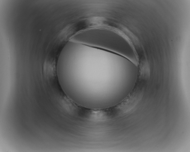 X0000111360376200907101235