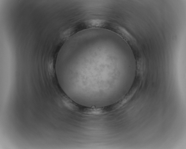 X0000111360377200907101235