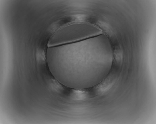 X0000111360380200907101235