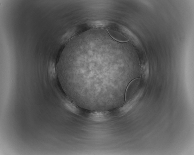 X0000111360381200907101235