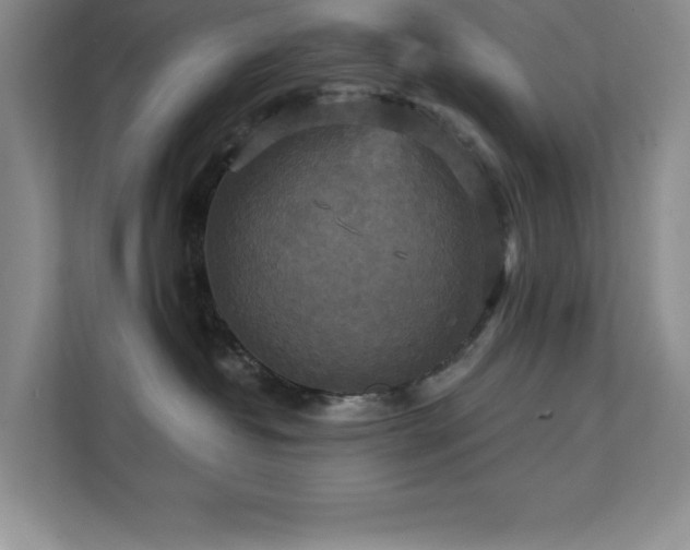 X0000111360382200907101235