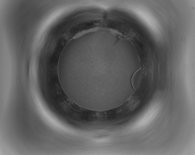X0000111360383200907101235