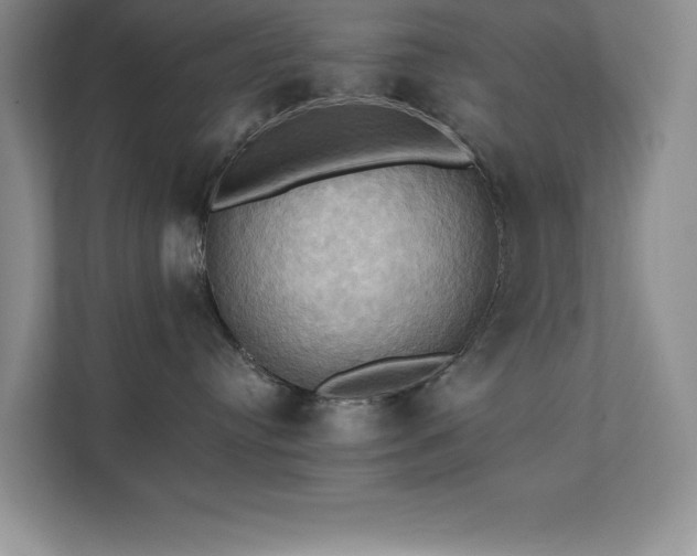 X0000111360384200907101235
