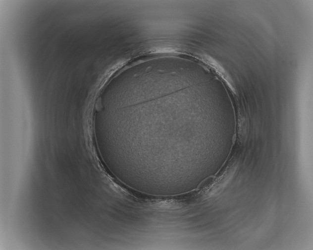X0000111360385200907101235