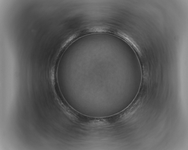 X0000111360386200907101235