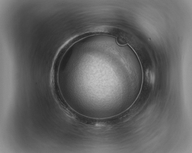 X0000111360388200907101235