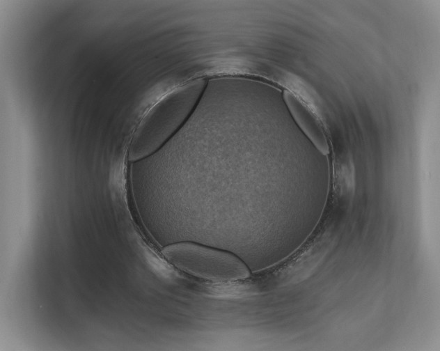 X0000111360389200907101235