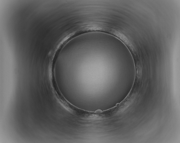 X0000111360390200907101235