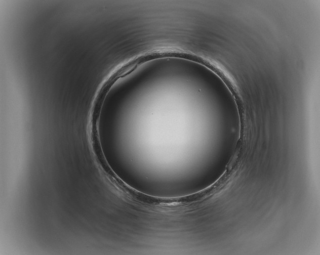 X0000111360391200907101235