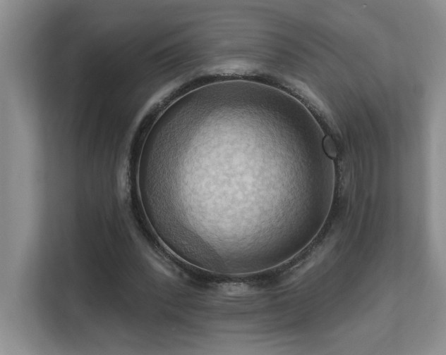 X0000111360392200907101235