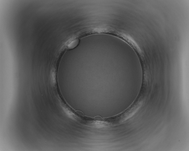 X0000111360393200907101235