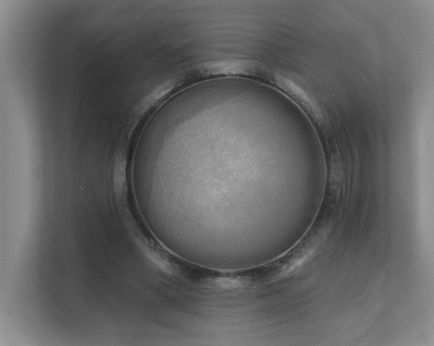 X0000111360394200907101235