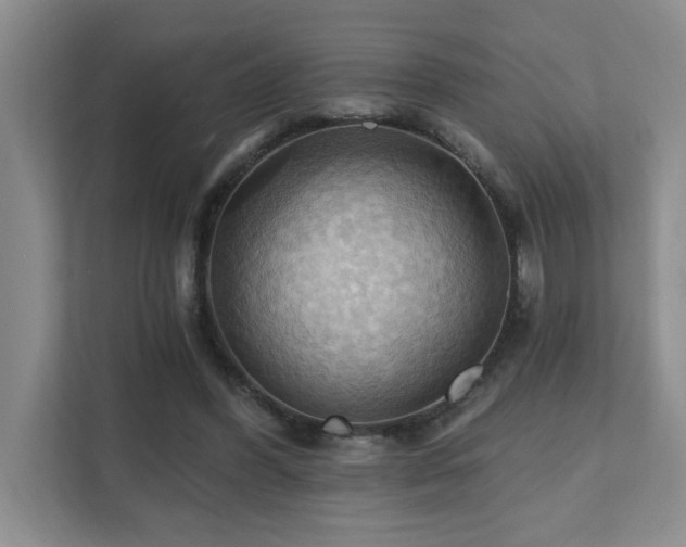 X0000111360396200907101235