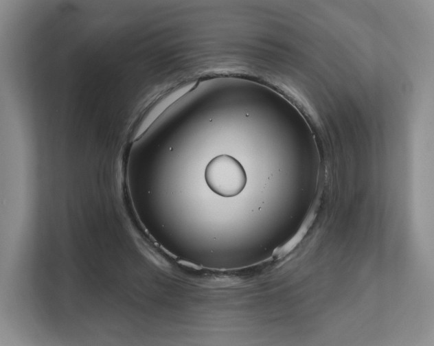 X0000111360397200907101235