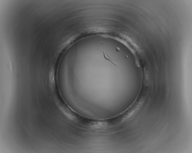 X0000111360398200907101235