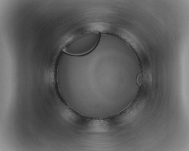 X0000111360399200907101235