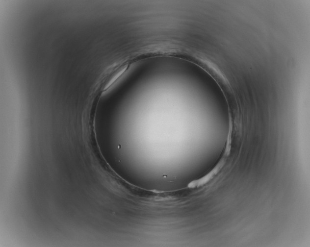 X0000111360403200907101235