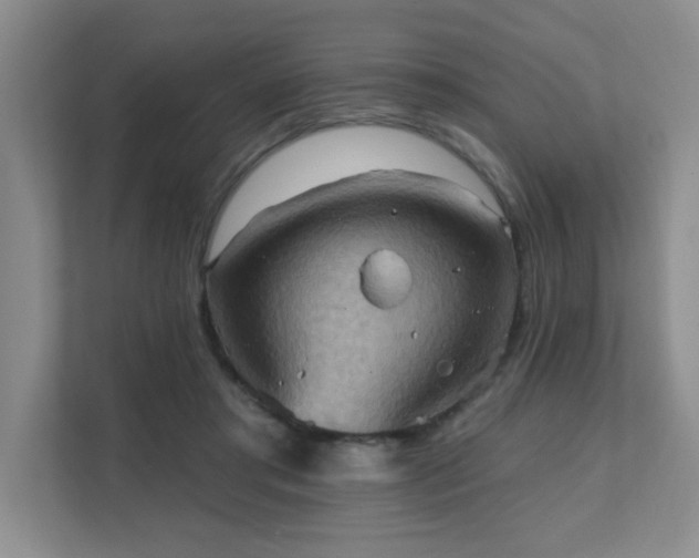 X0000111360405200907101235