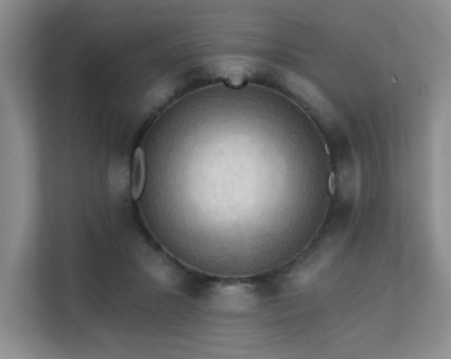 X0000111360407200907101235