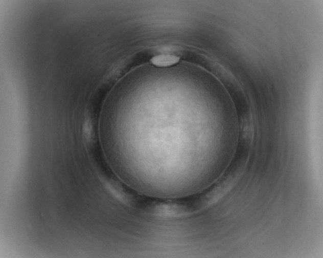 X0000111360408200907101234