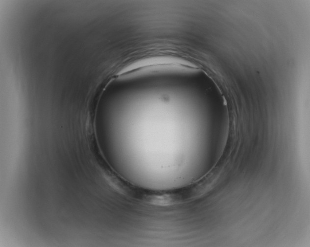 X0000111360411200907101234