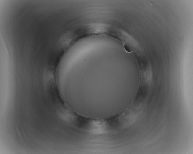 X0000111360415200907101234