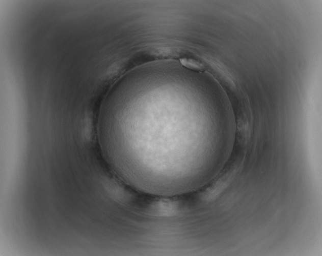 X0000111360416200907101234