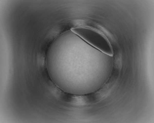 X0000111360417200907101234