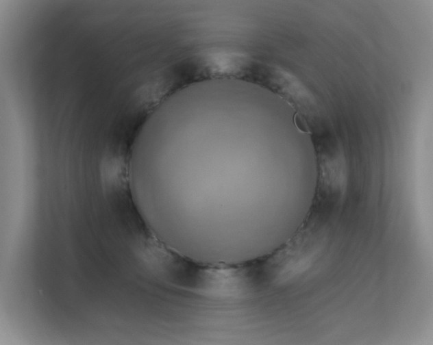 X0000111360419200907101234