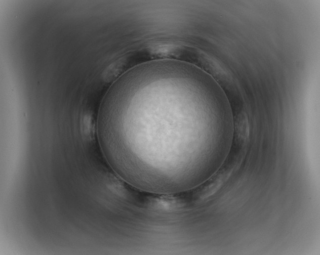 X0000111360420200907101234