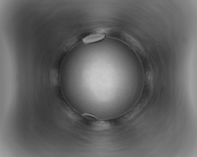 X0000111360421200907101234