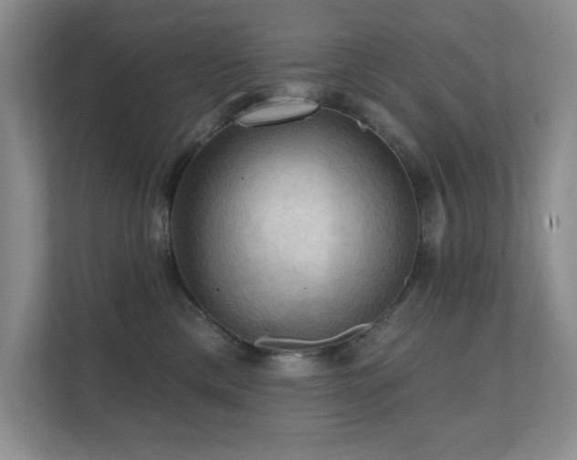 X0000111360425200907101234