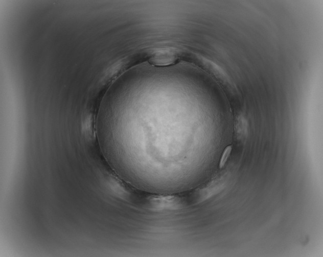 X0000111360428200907101234