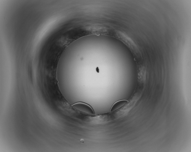 X0000111360430200907101234