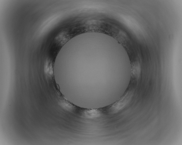 X0000111360431200907101234