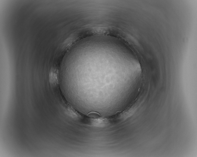 X0000111360432200907101234